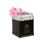 Chocolates in a Medium Box