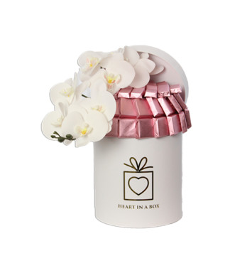 Chocolates in a Medium Box