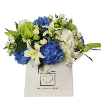 Mixed Blue & White in a Bag